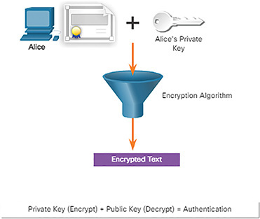 The figure shows Alice encrypting the message using her private key.