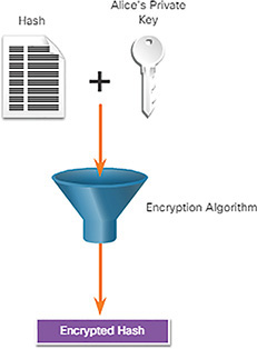 A figure represents Alice encrypting a hash using Alice’s private key.