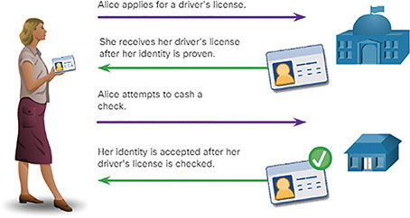 A figure represents the Driver’s license PKI analogy.