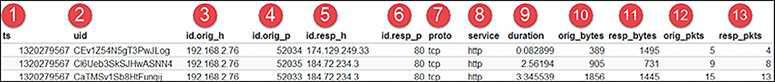 A table represents a partial display of the bro session data.