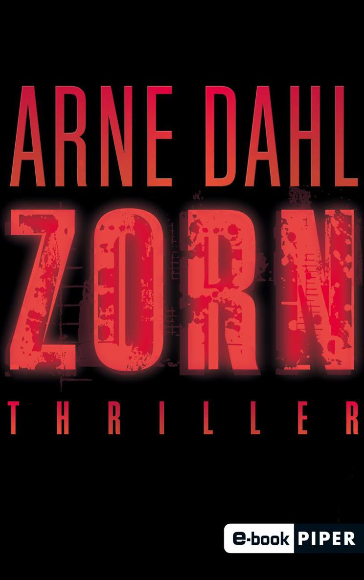 Zorn: Thriller