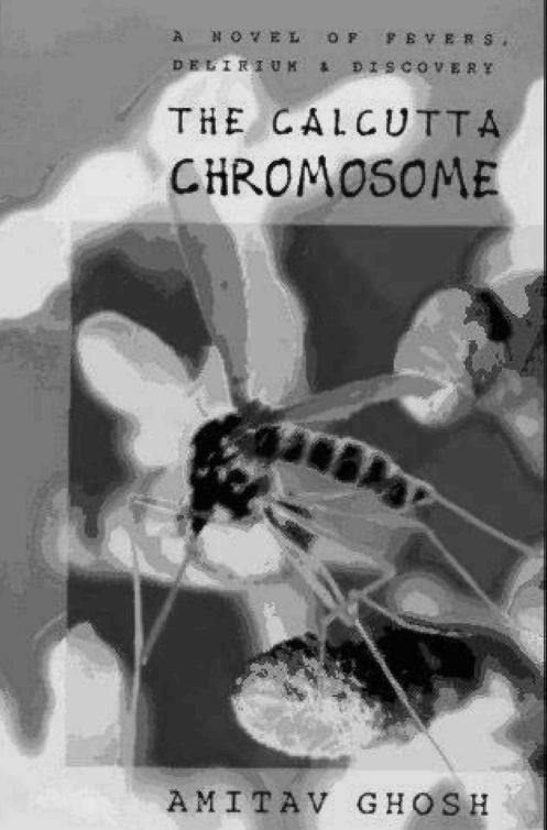 El cromosoma Calcuta