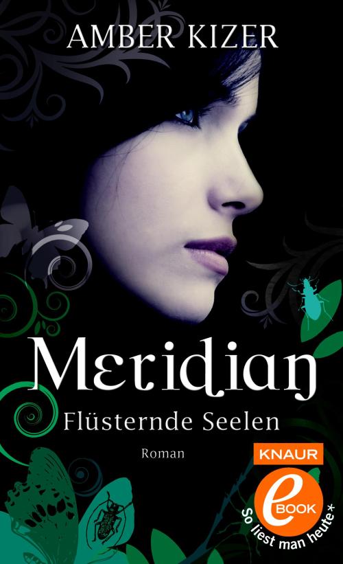 Meridian - Flüsternde Seelen