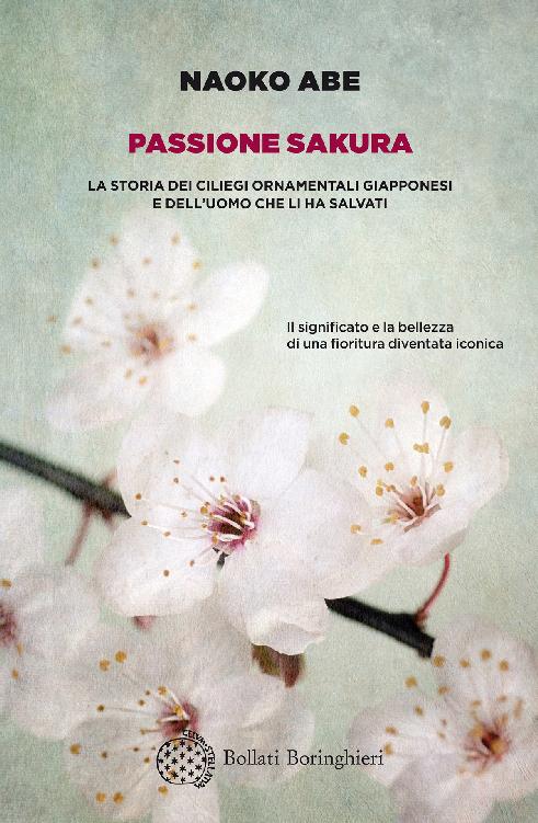 Passione sakura