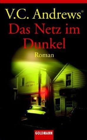 Das Netz im Dunkel