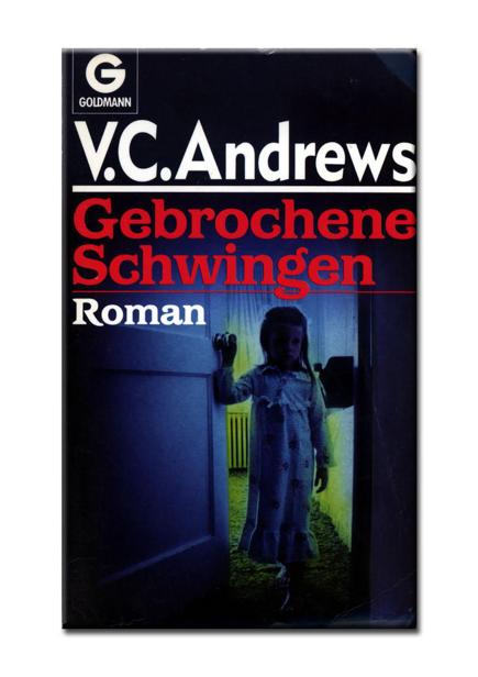 Gebrochene Schwingen