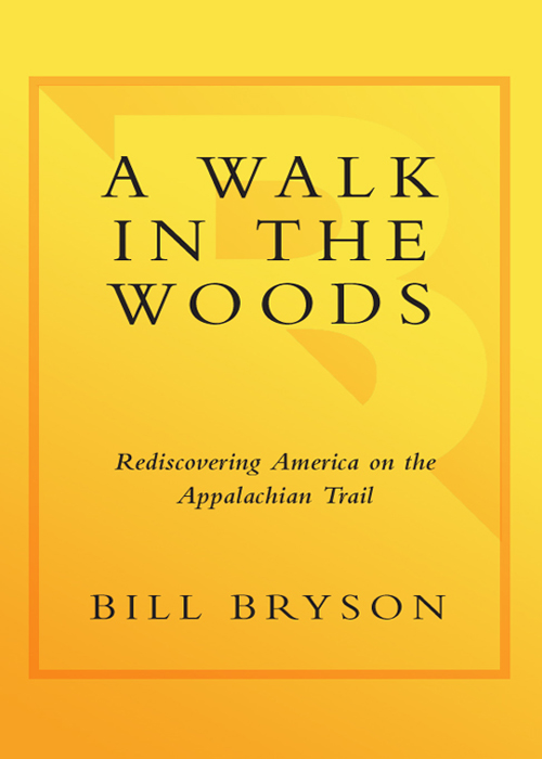 A Walk in the Woods