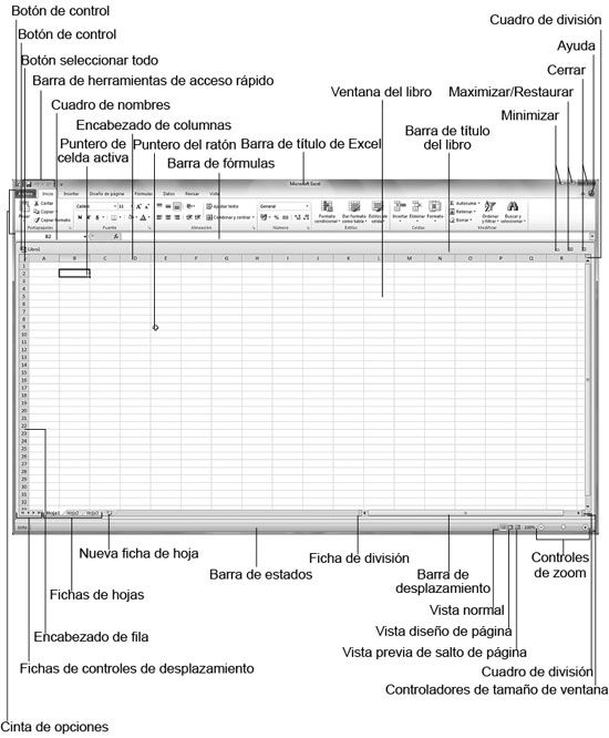 fig1-1.jpg