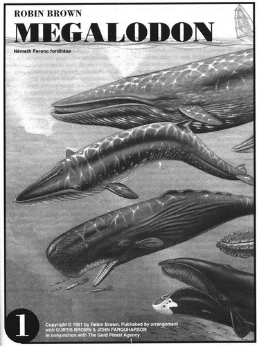 Megalodon