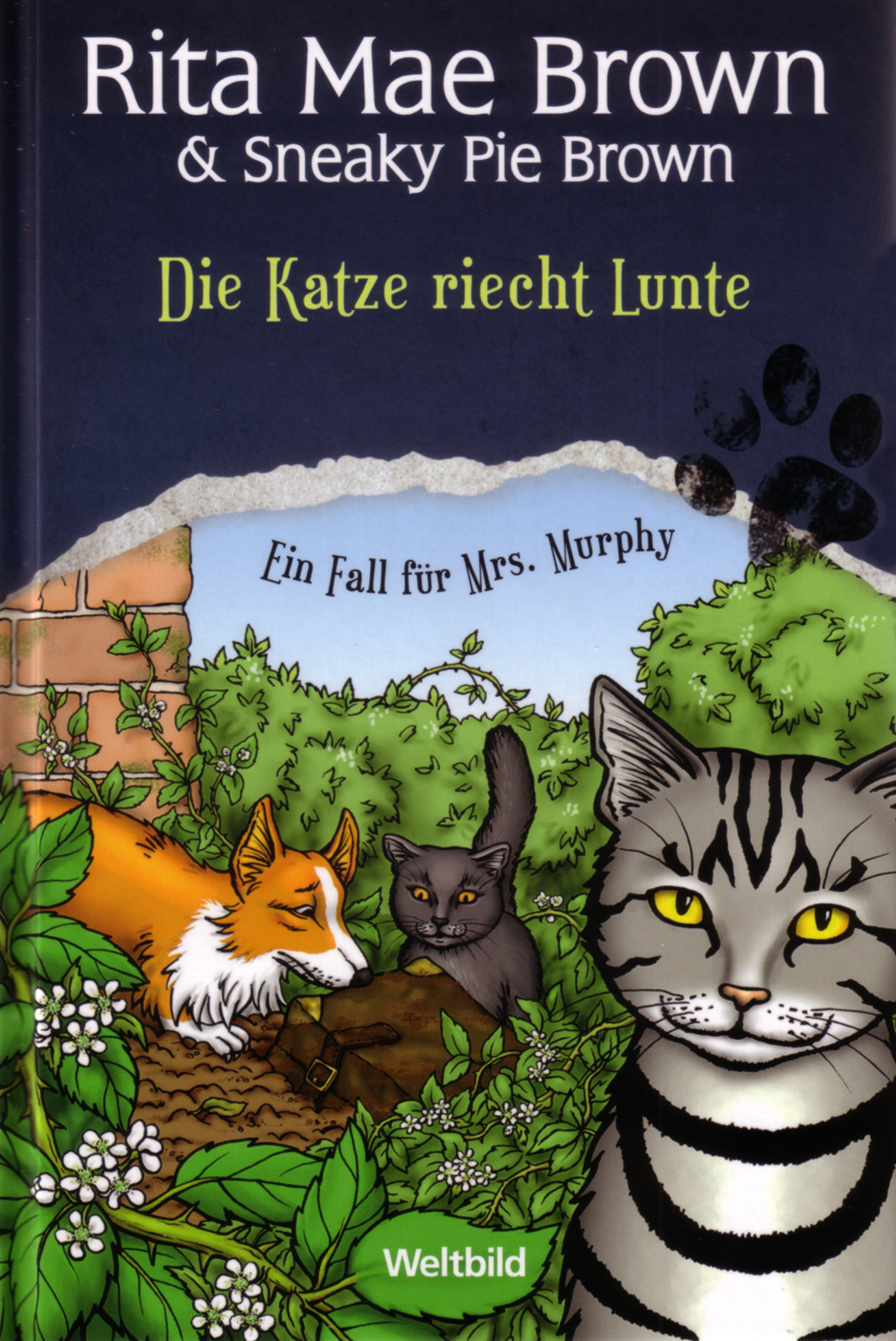 Die Katze riecht Lunte