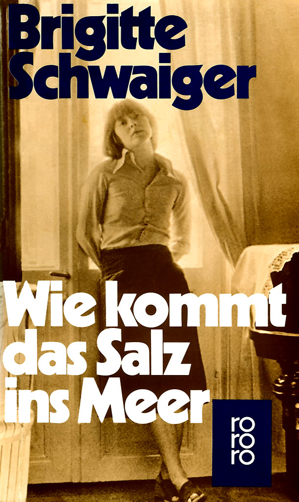 Wie kommt das Salz ins Meer