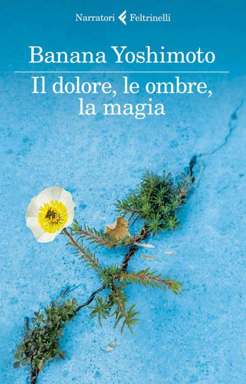 Il dolore, le ombre, la magia: Il Regno 2