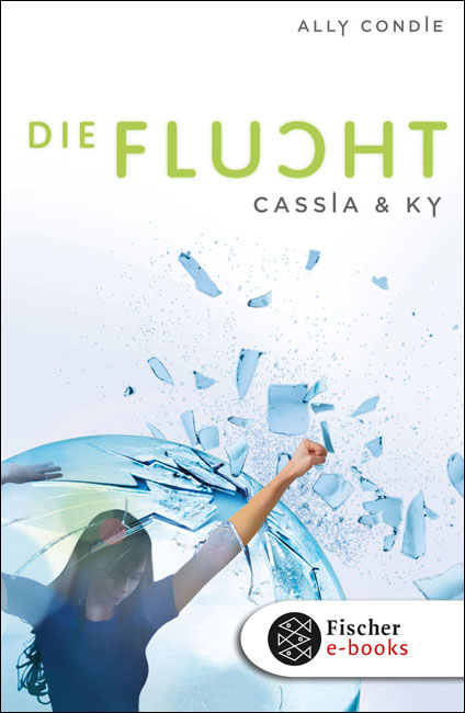 Ally Condie - Cassia & Ky Band 2 - Die Flucht
