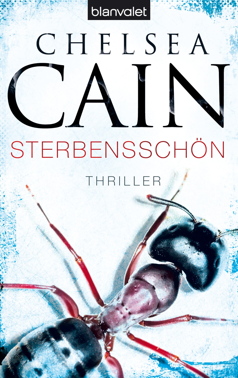 Sterbensschön: Thriller -