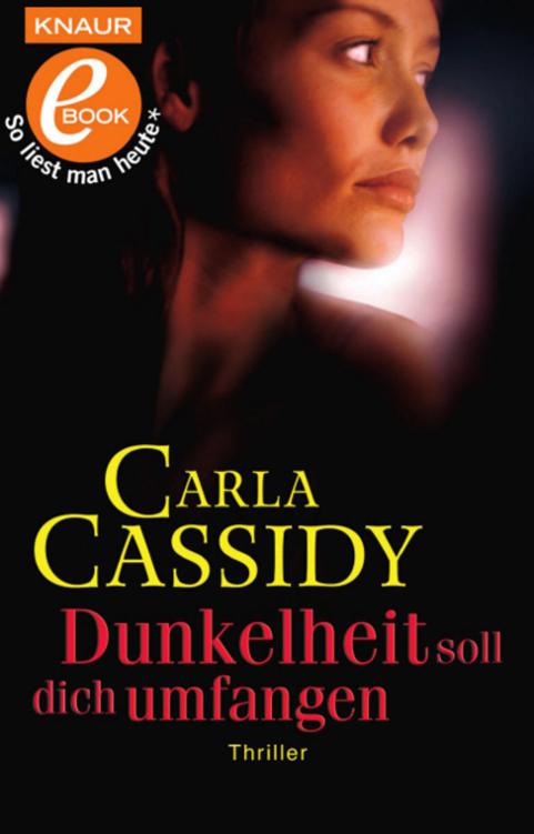 Dunkelheit soll dich umfangen: Thriller