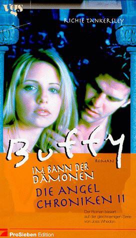 07 - Die Angel Chroniken 2