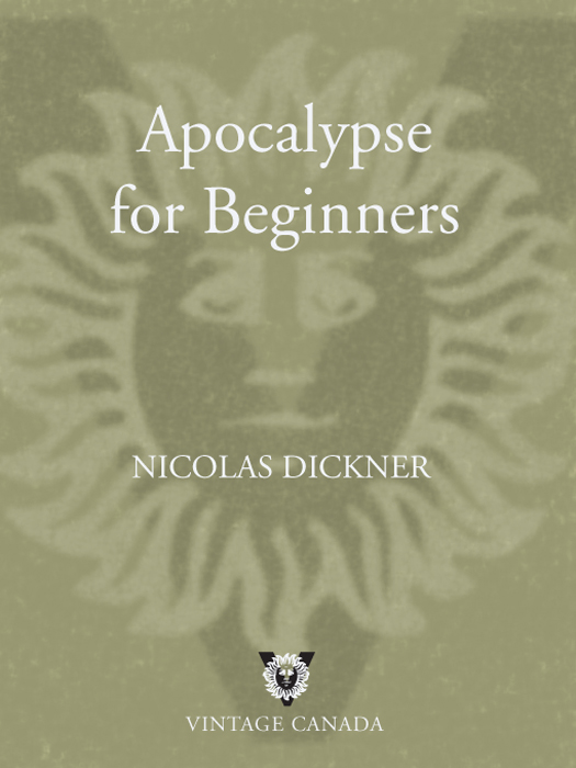 Apocalypse for Beginners