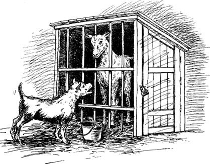 Van schippersleed en vaarplezier