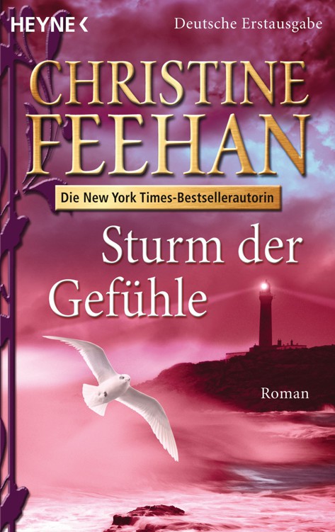 Drake Schwestern 07 - Sturm der Gefuehle-01.07.12