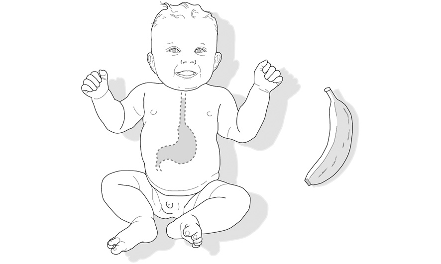 fig-31.jpg