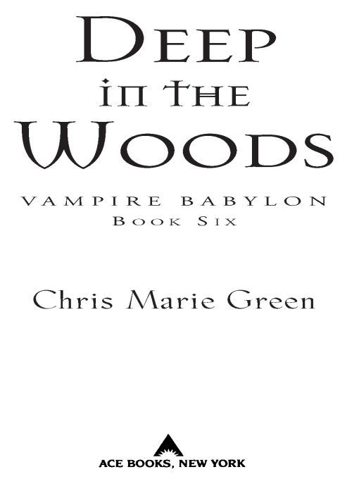 Deep in the Woods