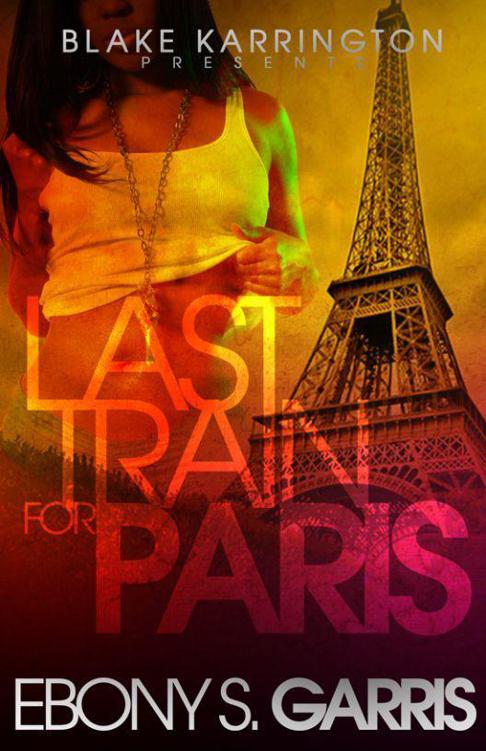 Last Train for Paris