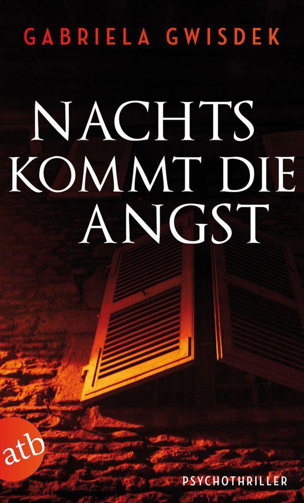 Nachts kommt die Angst: Psychothriller