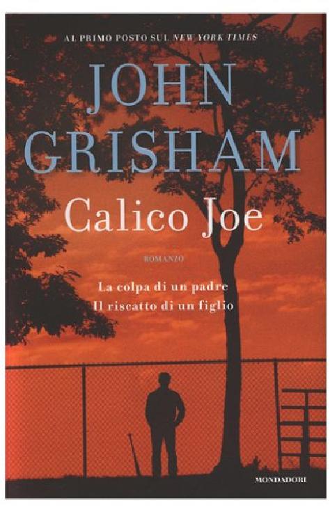 Calico Joe