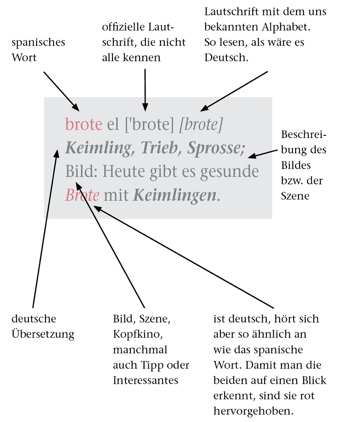 Liebe am O r