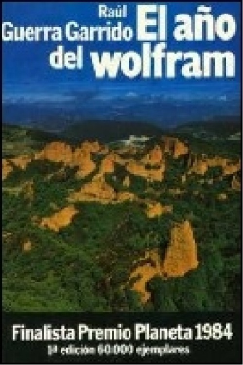 El año del wolfram