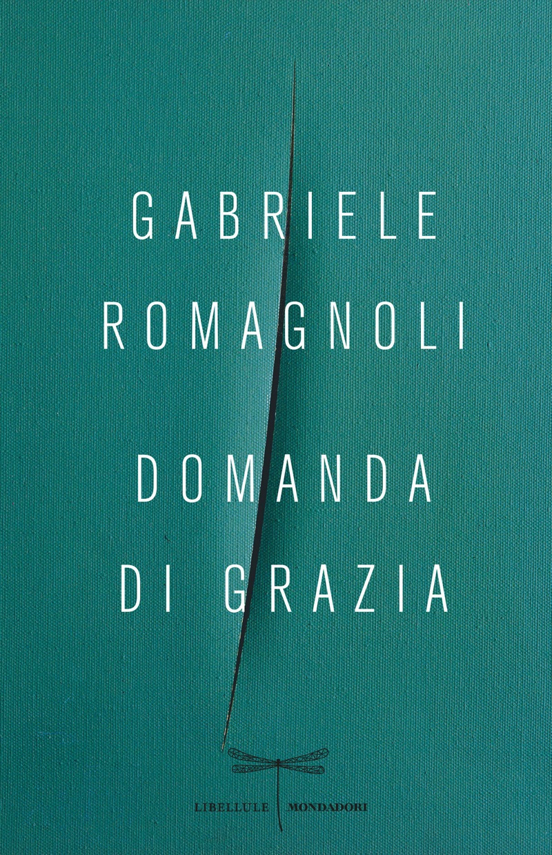 Domanda di grazia