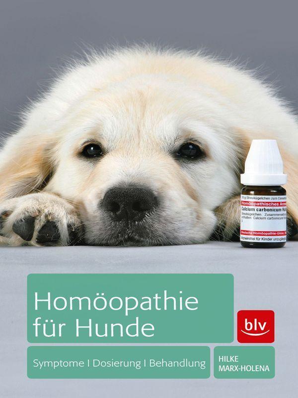 Homoeopathie fuer Hunde