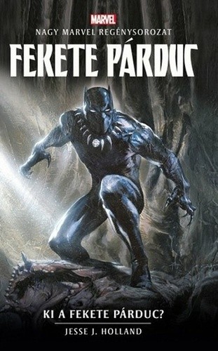 Fekete Párduc: Ki a Fekete Párduc?