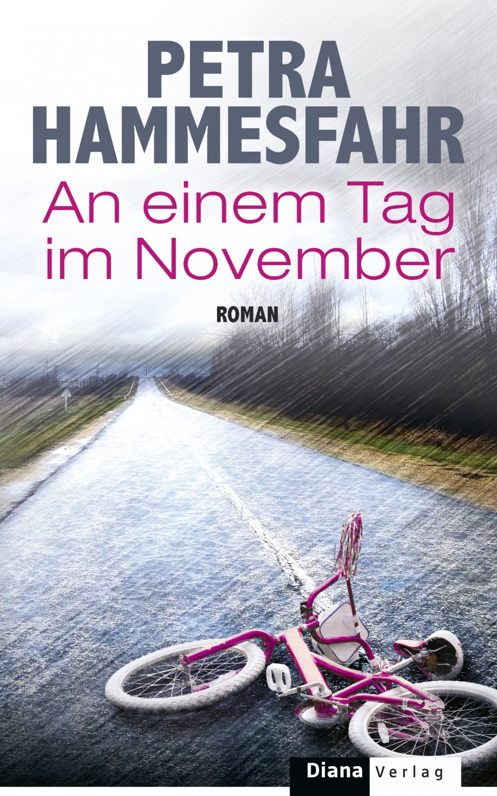 An einem Tag im November - Roman
