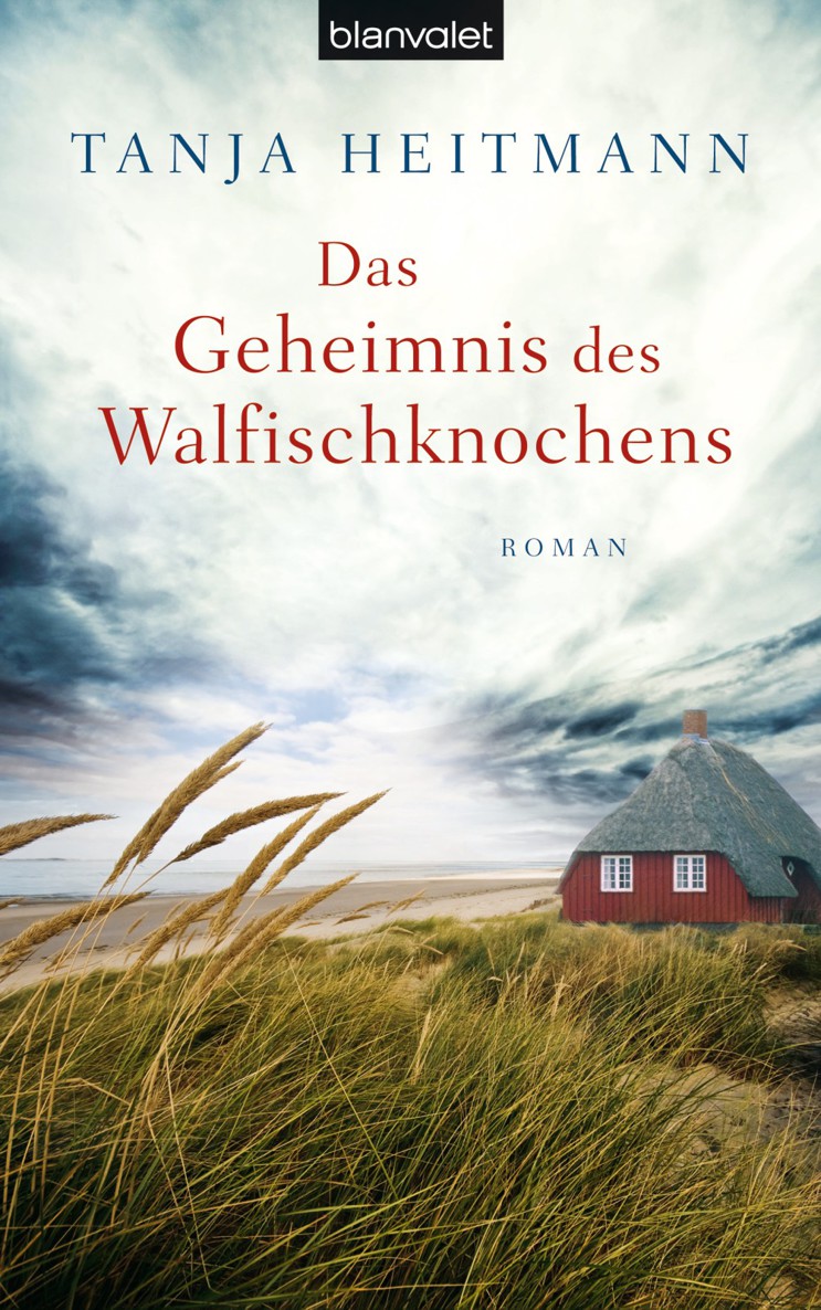 Das Geheimnis des Walfischknochens - Roman