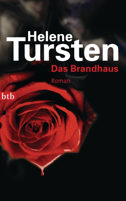 Irene Huss 09 - Das Brandhaus