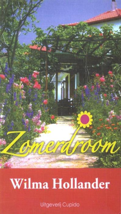 Zomerdroom: Spannende liefdesroman