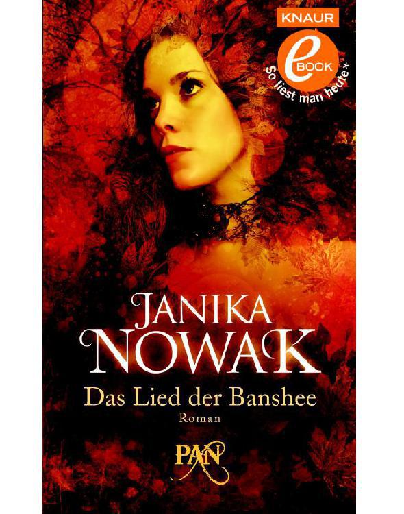 Das Lied der Banshee: Roman