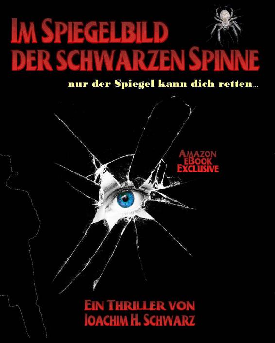 Im Spiegelbild der schwarzen Spinne
