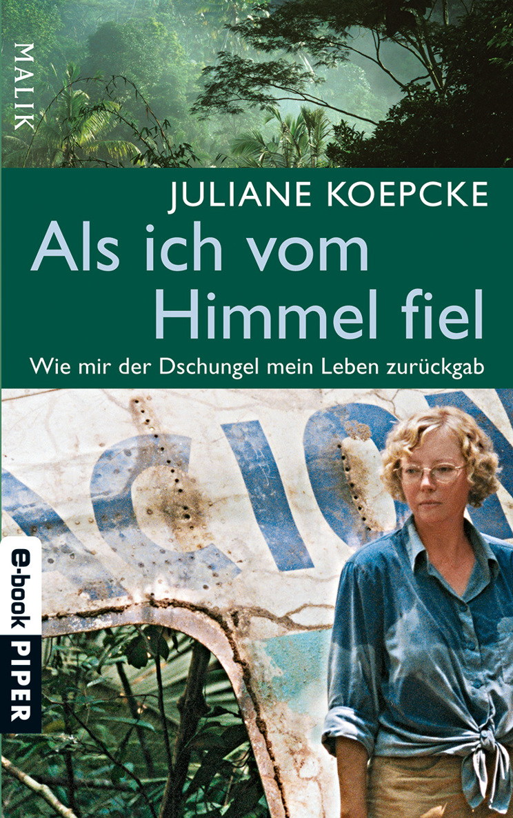 Als ich vom Himmel fiel