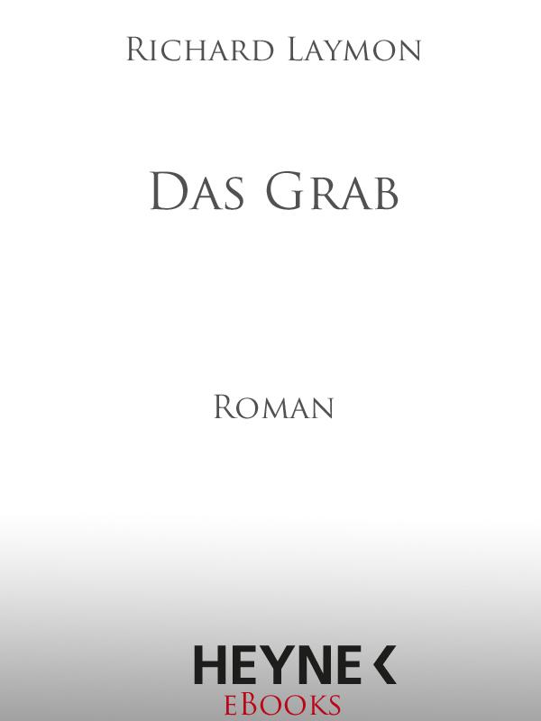 Das Grab - Roman