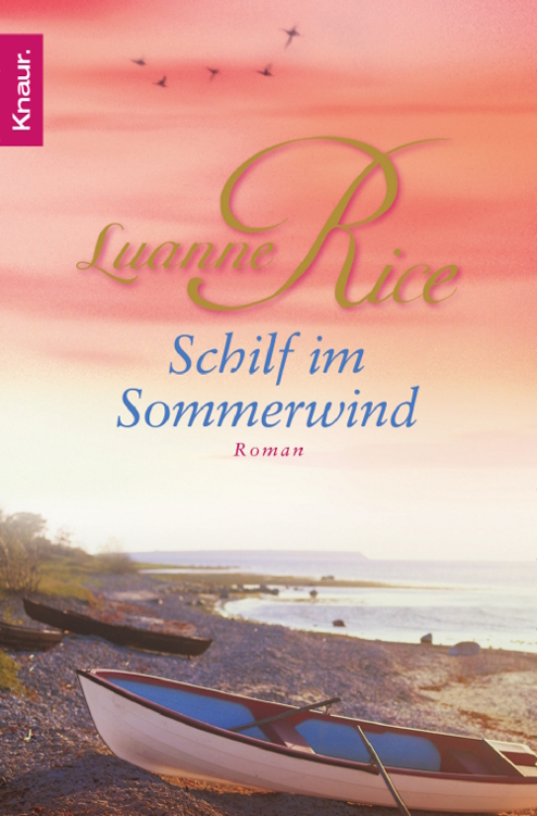 Schilf im Sommerwind