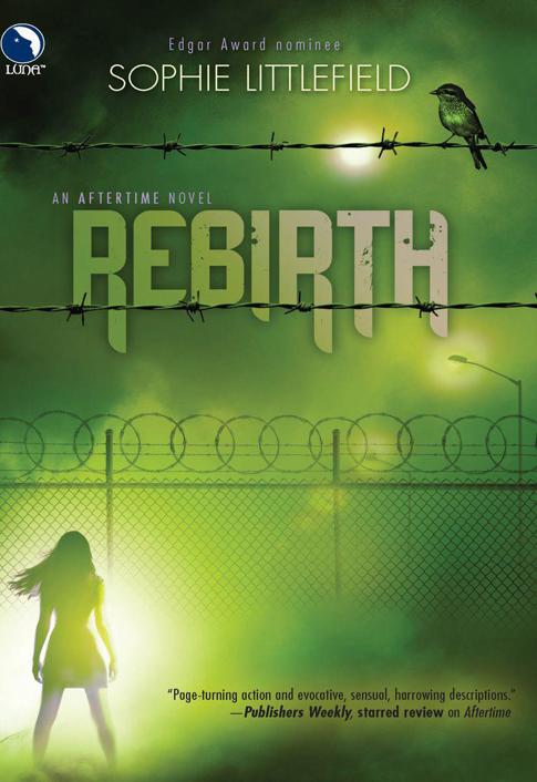 Rebirth