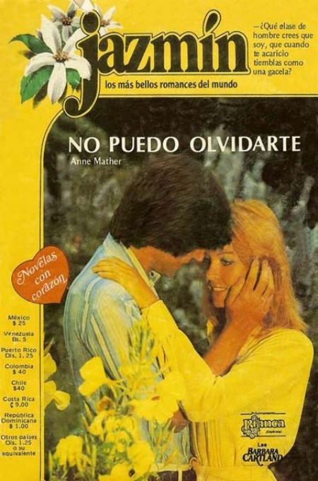 No puedo olvidarte