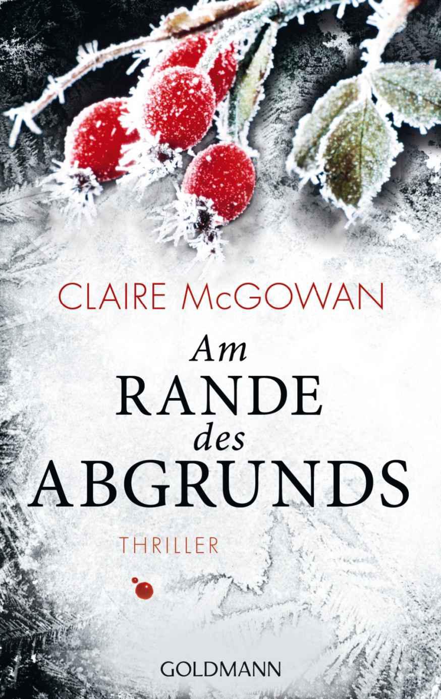 Am Rande des Abgrunds: Thriller