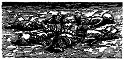 The Year's Best Science Fiction & Fantasy 7