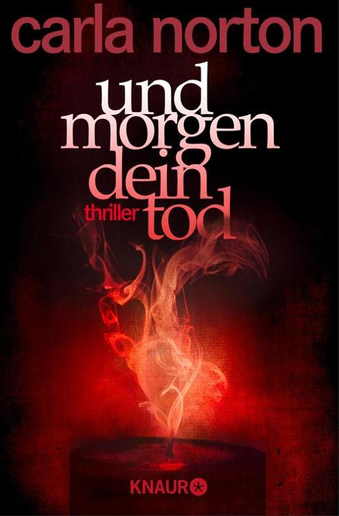 Und morgen dein Tod / Thriller