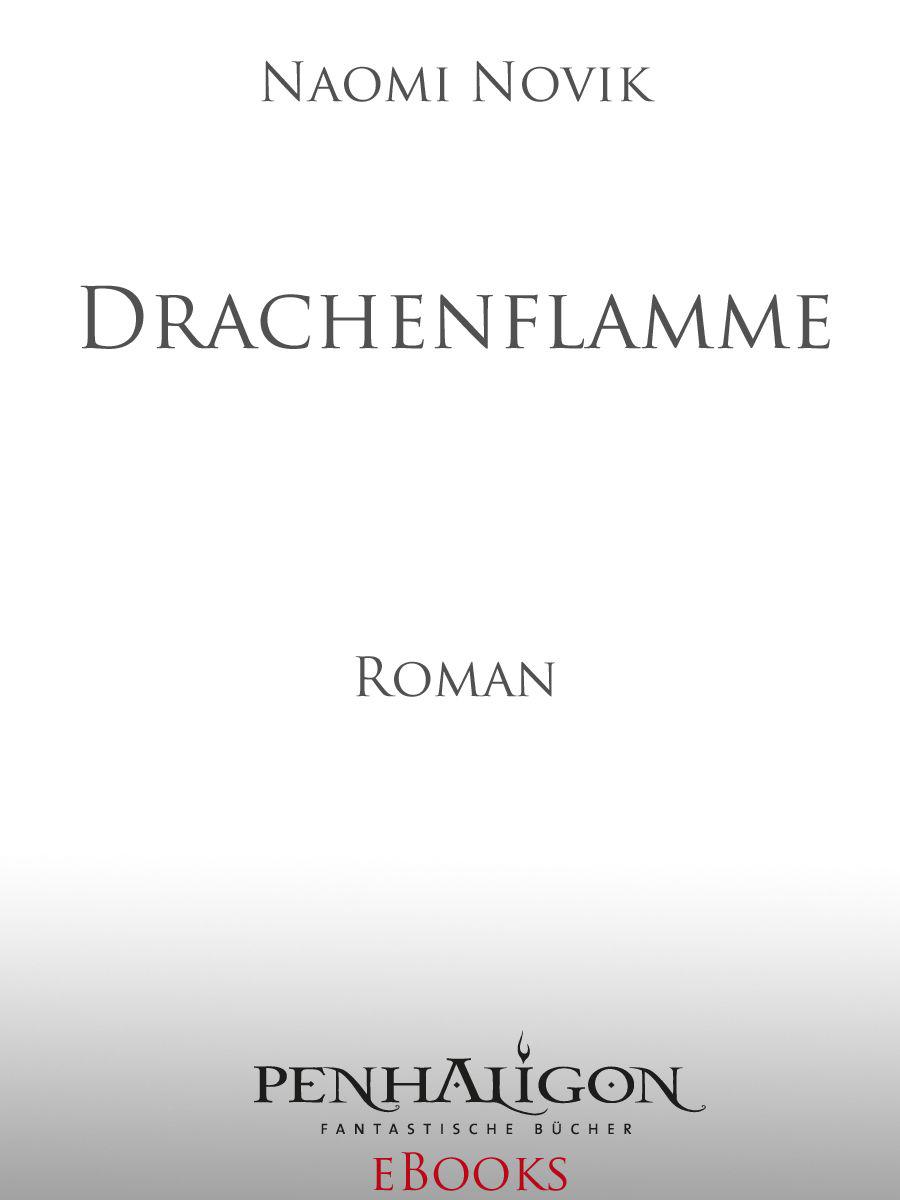 Drachenflamme: Roman