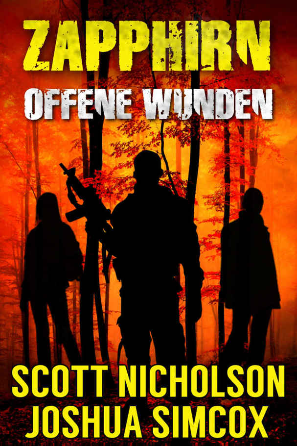 Scott Nicholson & Joshua Simcox - Offene Wunden - Ein post-apokalyptischer Thriller - Zapphirn 2
