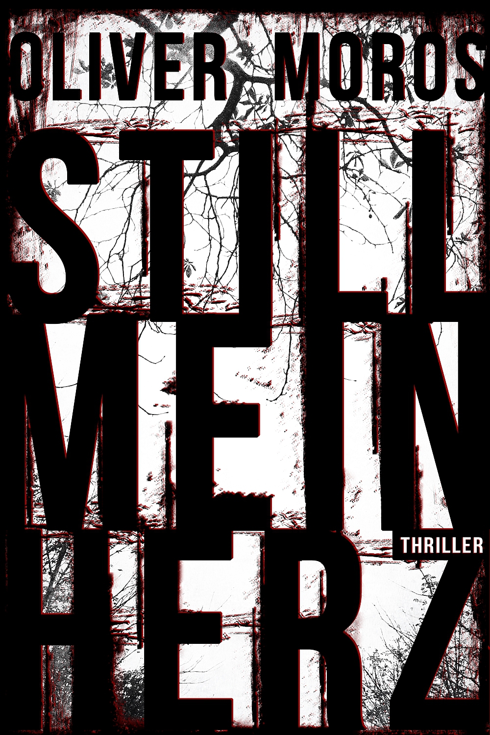 Still Mein Herz: Thriller